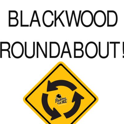I Survived Blackwood Roundabout Thumbnail
